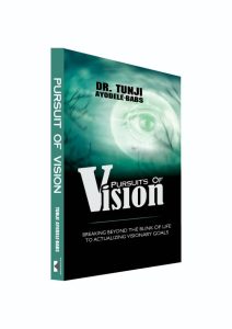 Pursuits In Vision